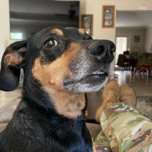 Meet your Posher, Brandi